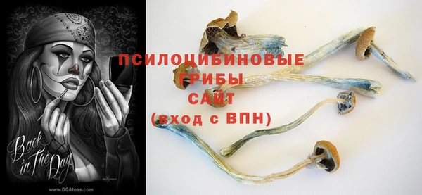 apvp Лабытнанги