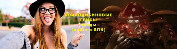 гидропоника Лагань