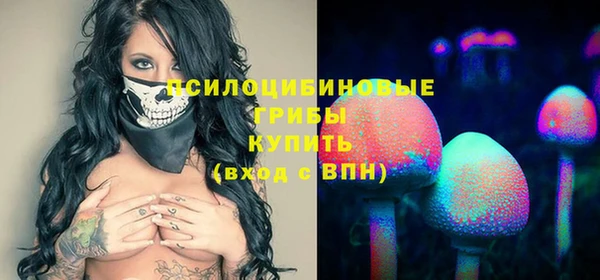 apvp Лабытнанги