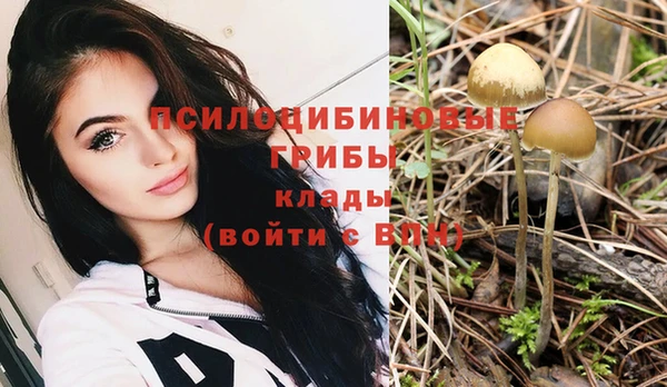 соль курить ск Ладушкин